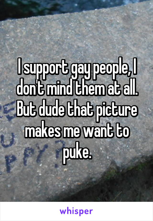 I support gay people, I don't mind them at all. But dude that picture makes me want to puke.
