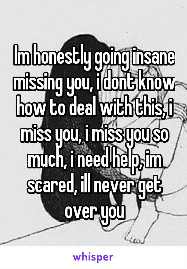 Im honestly going insane missing you, i dont know how to deal with this, i miss you, i miss you so much, i need help, im scared, ill never get over you