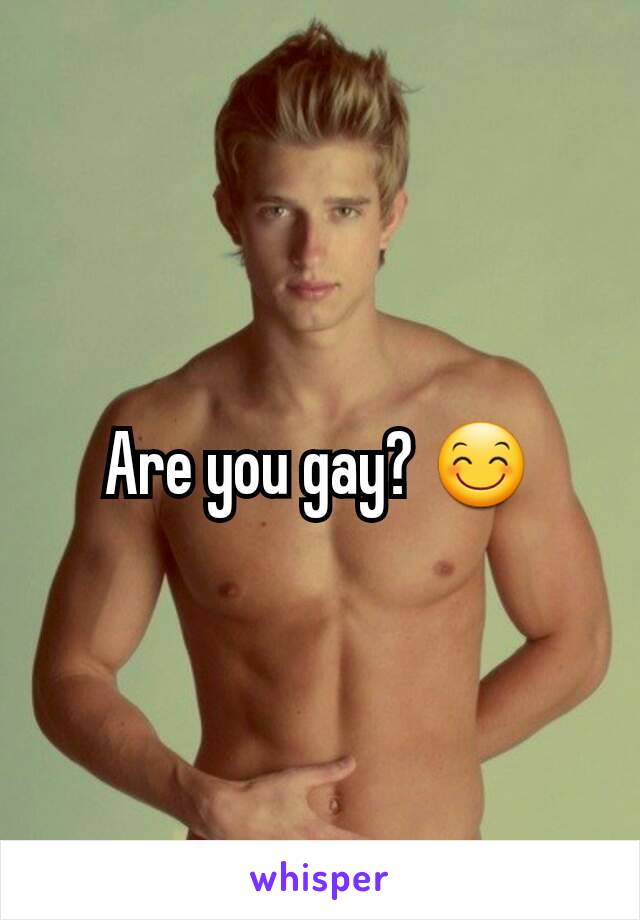 Are you gay? 😊