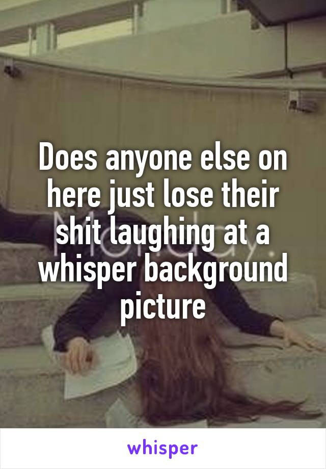 Does anyone else on here just lose their shit laughing at a whisper background picture