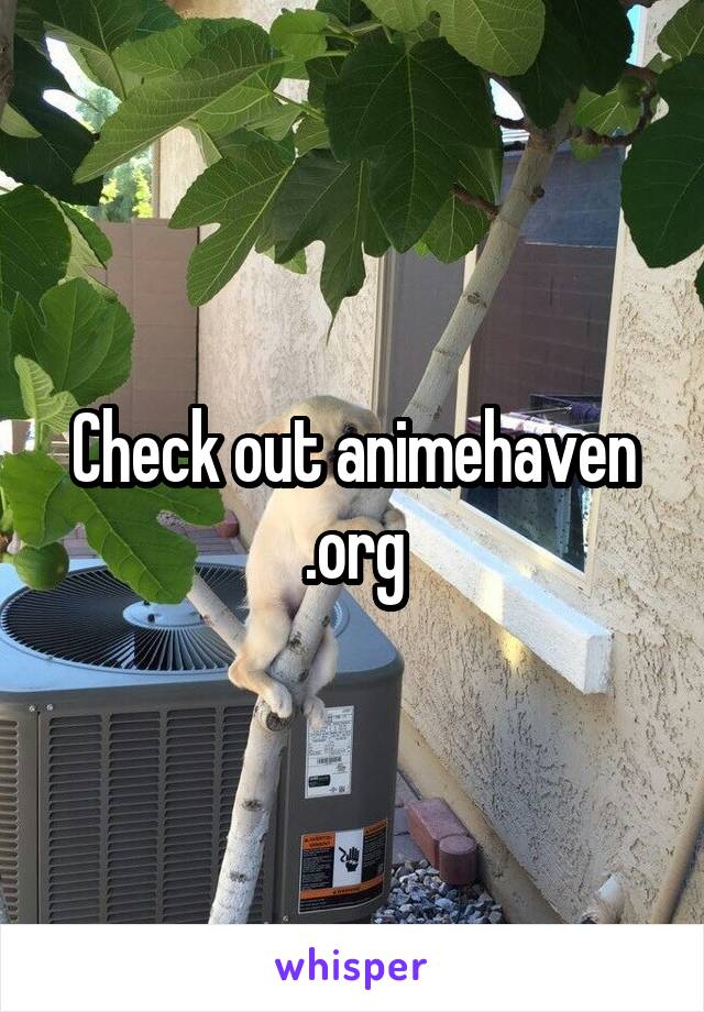 Check out animehaven .org
