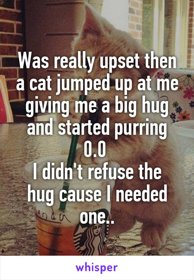Was really upset then a cat jumped up at me giving me a big hug and started purring
0.0 
I didn't refuse the hug cause I needed one..