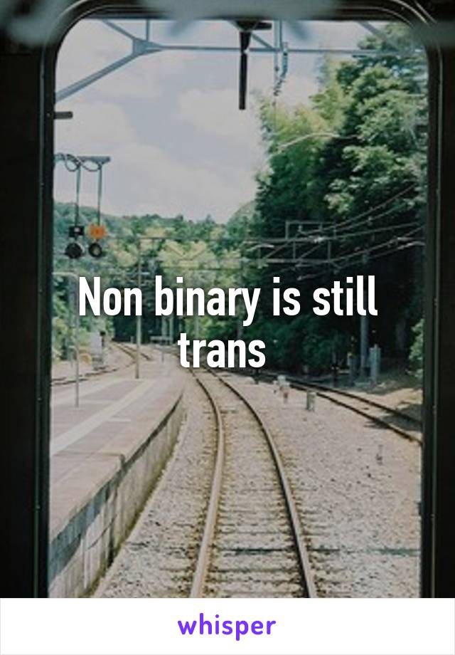 Non binary is still trans 