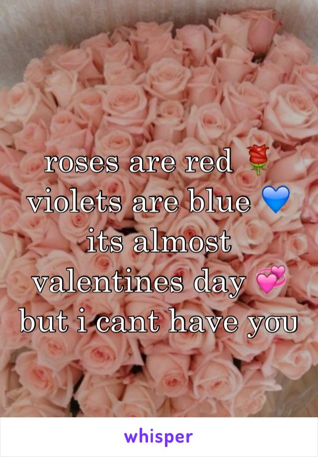 roses are red 🌹
violets are blue 💙
its almost valentines day 💞
but i cant have уσυ