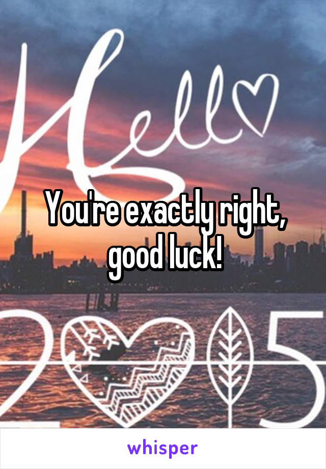 You're exactly right, good luck!