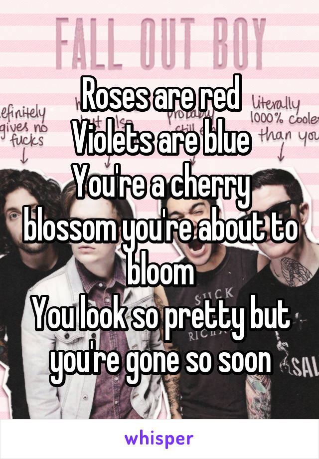 Roses are red
Violets are blue
You're a cherry blossom you're about to bloom
You look so pretty but you're gone so soon