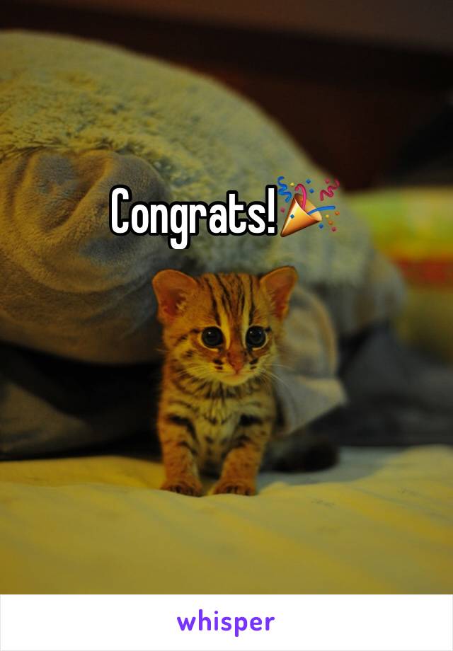 Congrats!🎉