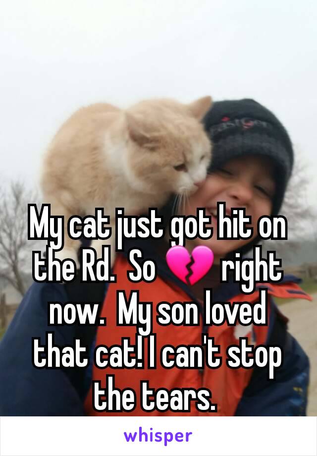 My cat just got hit on the Rd.  So 💔 right now.  My son loved that cat! I can't stop the tears. 