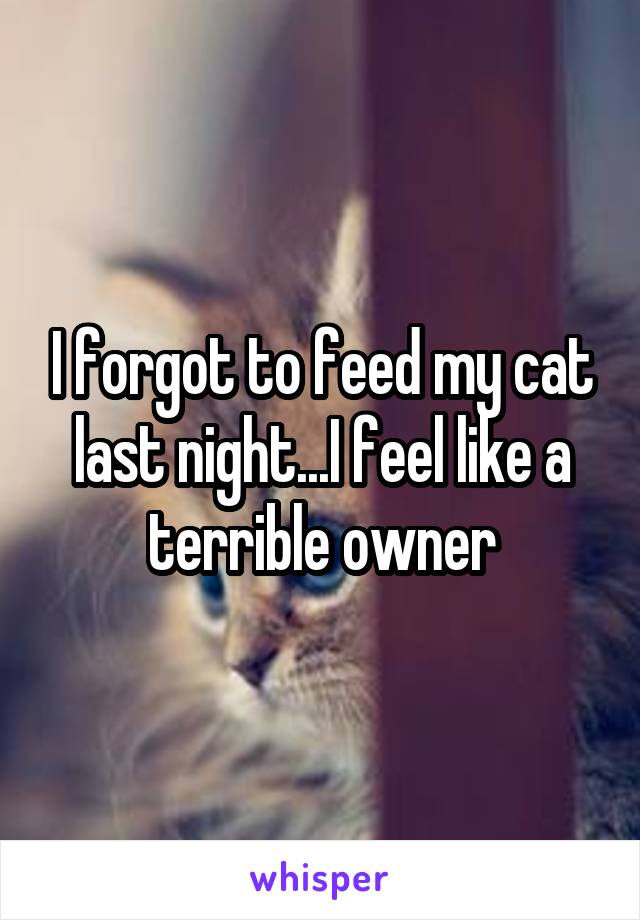 I forgot to feed my cat last night...I feel like a terrible owner