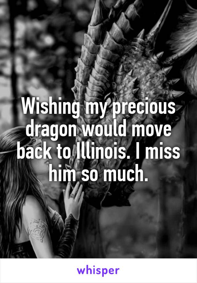 Wishing my precious dragon would move back to Illinois. I miss him so much.