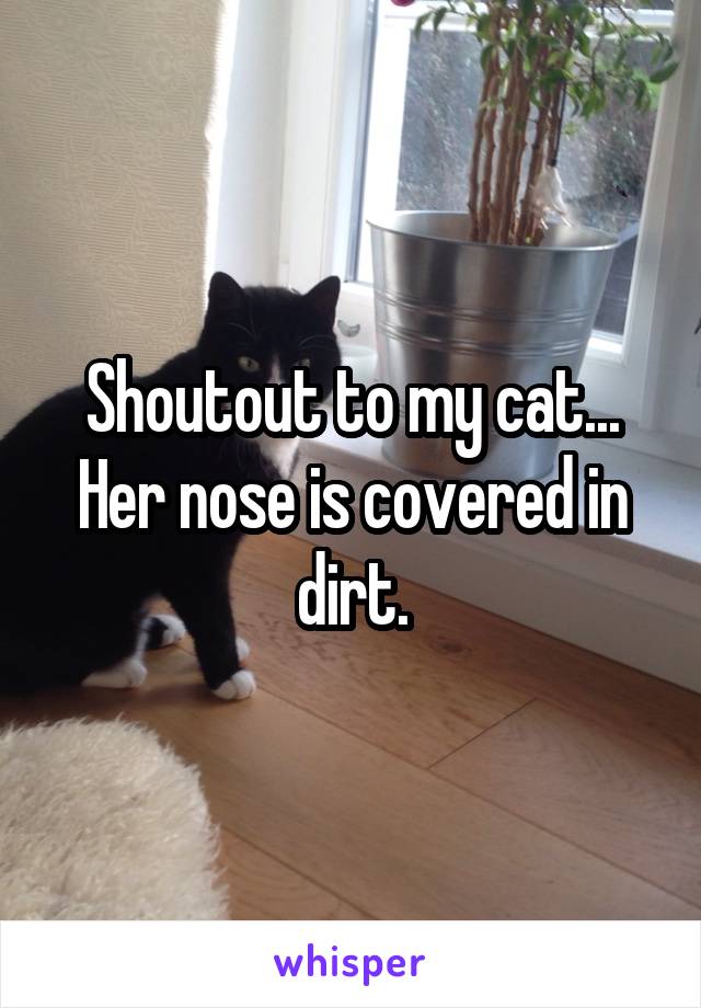 Shoutout to my cat...
Her nose is covered in dirt.