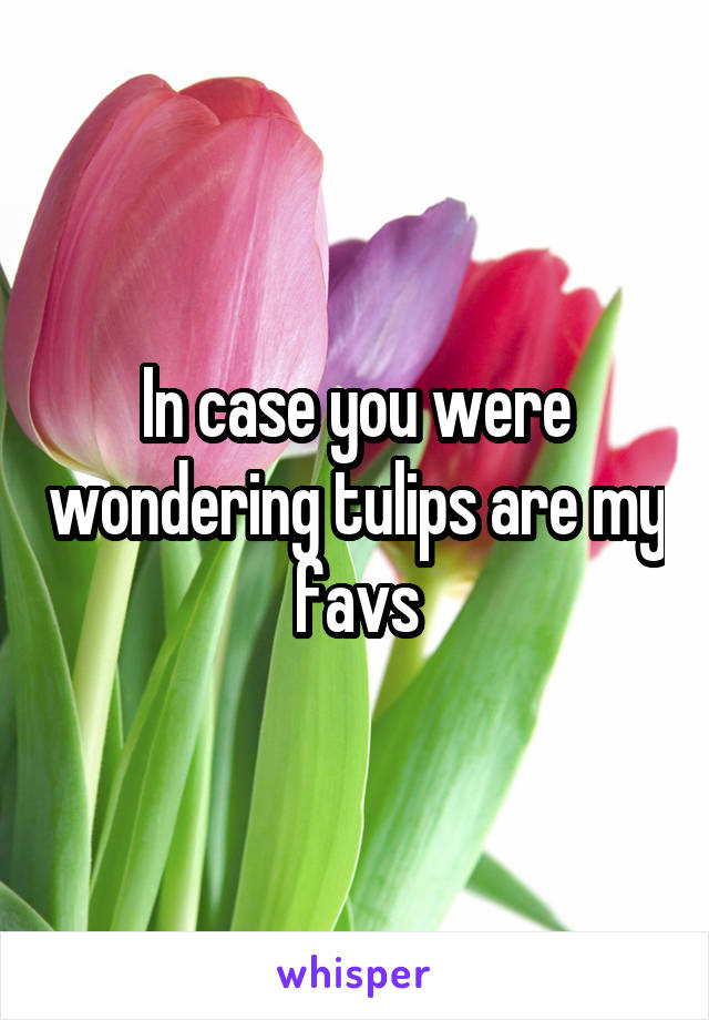 In case you were wondering tulips are my favs