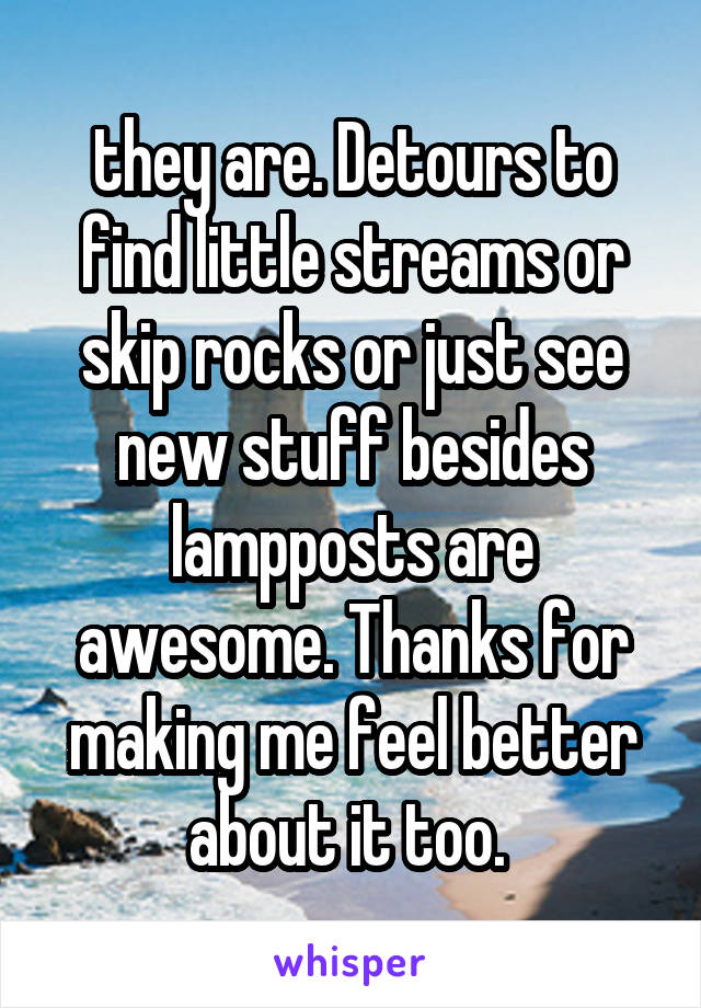 they are. Detours to find little streams or skip rocks or just see new stuff besides lampposts are awesome. Thanks for making me feel better about it too. 