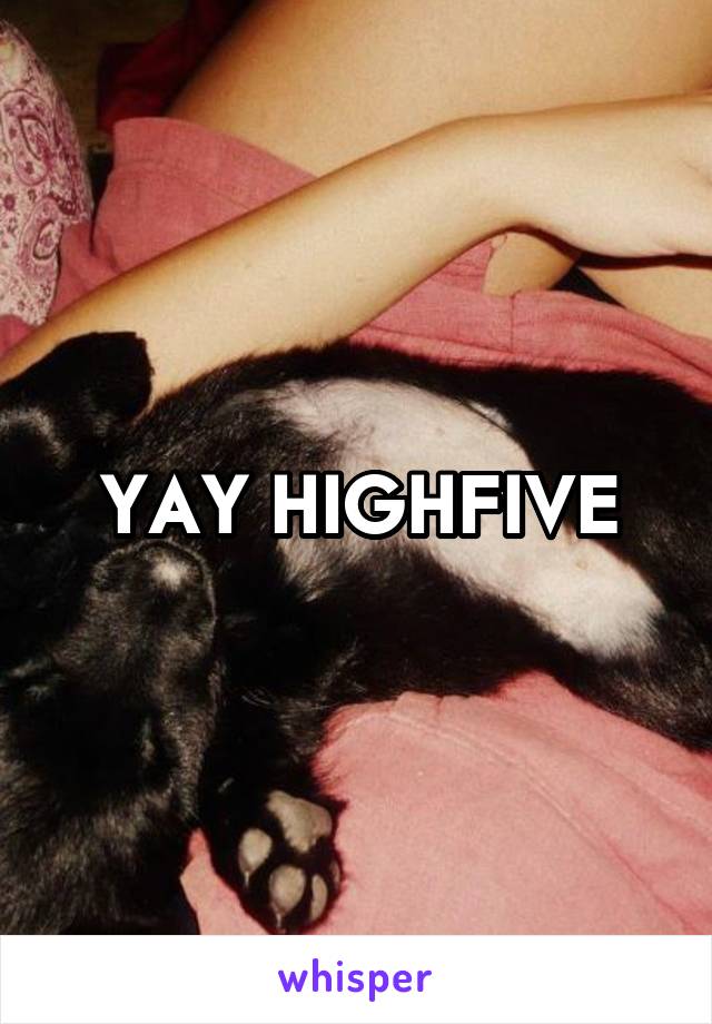 YAY HIGHFIVE