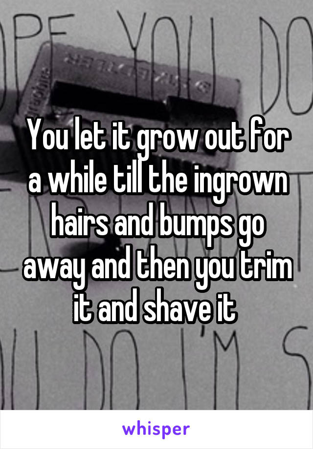 You let it grow out for a while till the ingrown hairs and bumps go away and then you trim it and shave it 