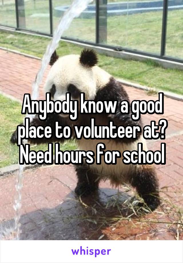 Anybody know a good place to volunteer at? Need hours for school