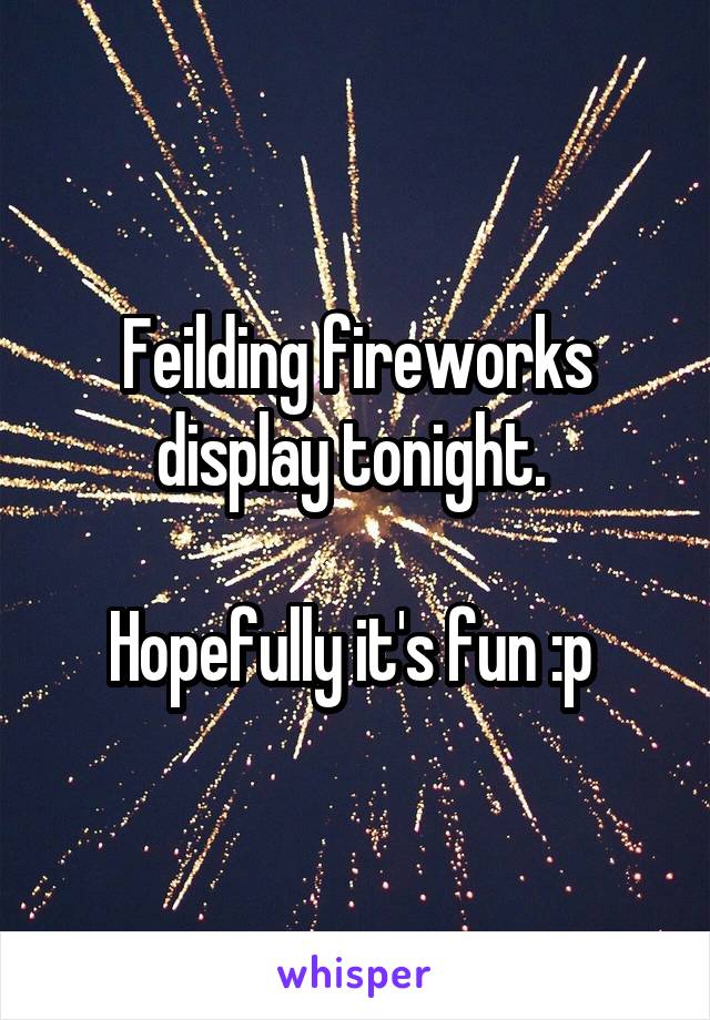 Feilding fireworks display tonight. 

Hopefully it's fun :p 