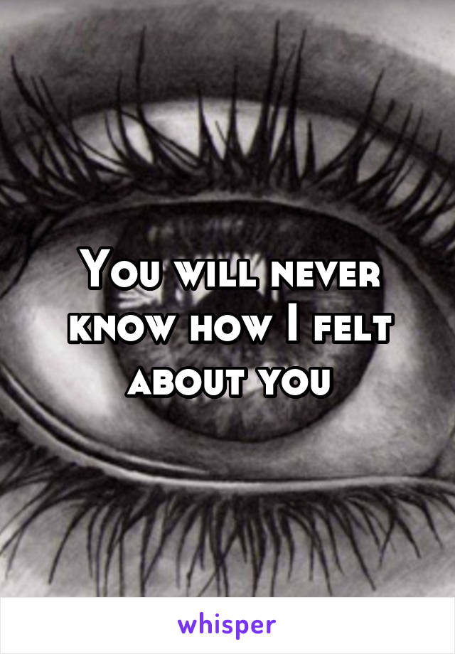 You will never know how I felt about you