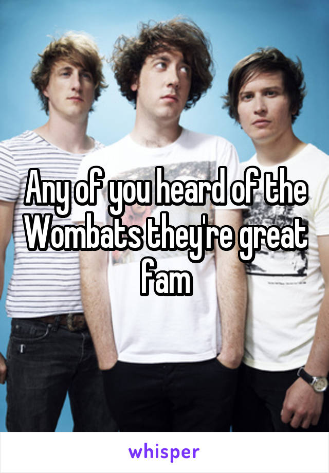 Any of you heard of the Wombats they're great fam