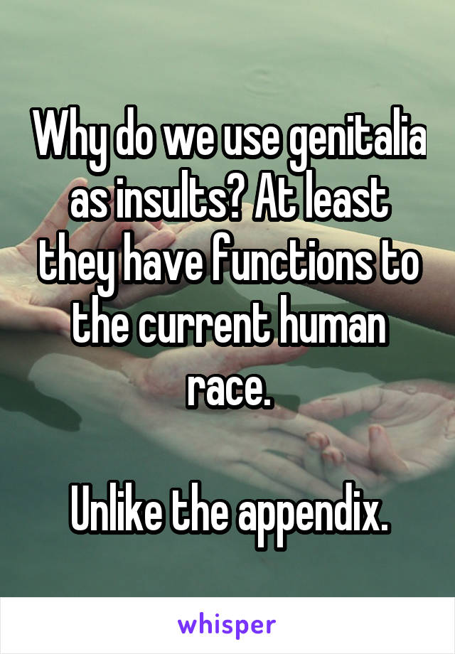 Why do we use genitalia as insults? At least they have functions to the current human race.

Unlike the appendix.
