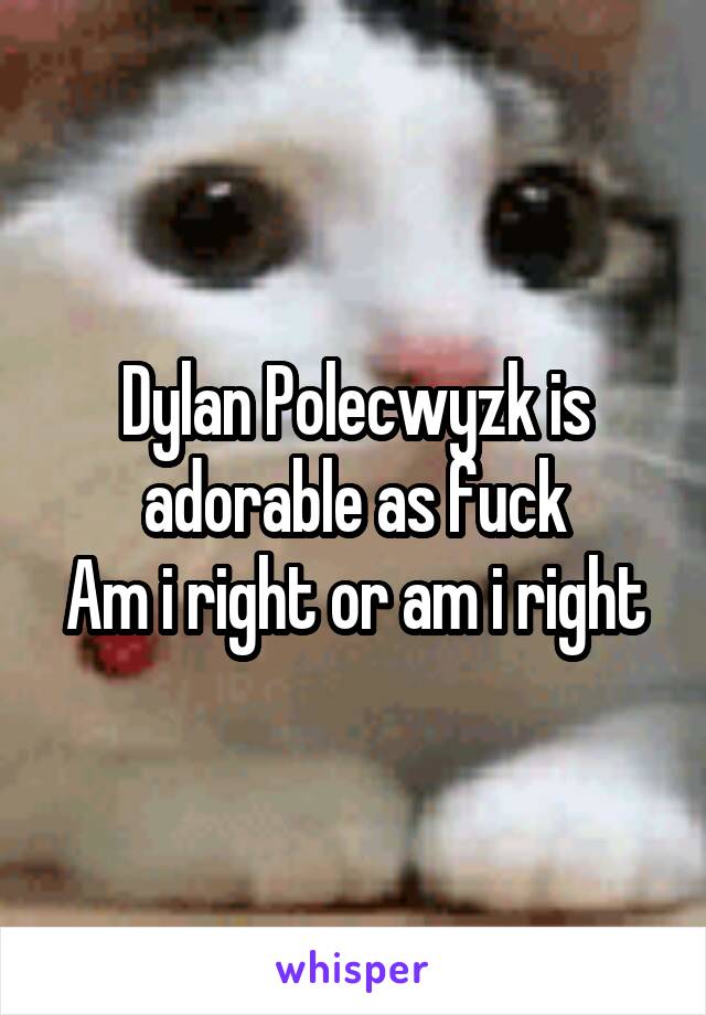 Dylan Polecwyzk is adorable as fuck
Am i right or am i right