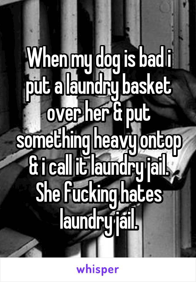 When my dog is bad i put a laundry basket over her & put something heavy ontop & i call it laundry jail.
She fucking hates laundry jail.