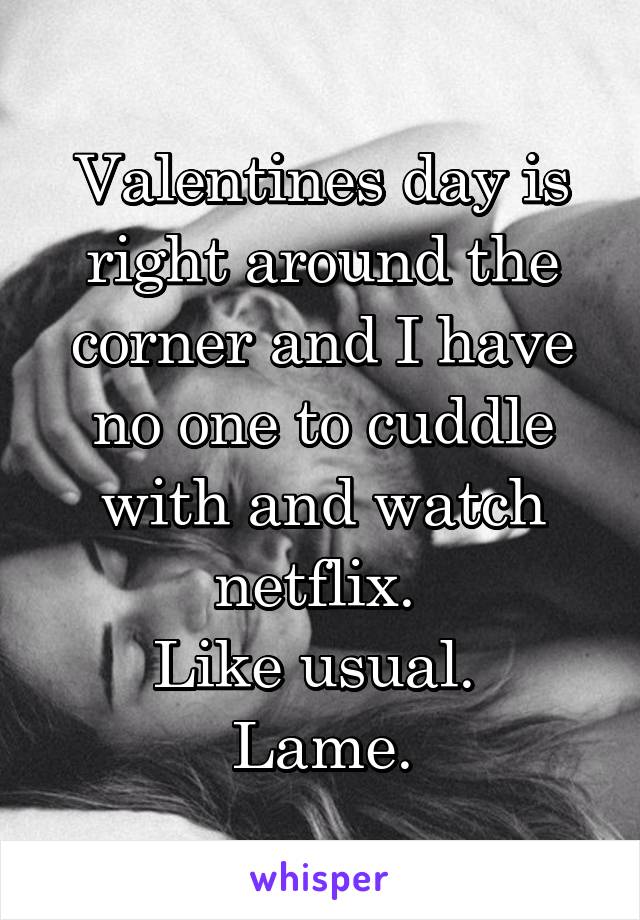 Valentines day is right around the corner and I have no one to cuddle with and watch netflix. 
Like usual. 
Lame.