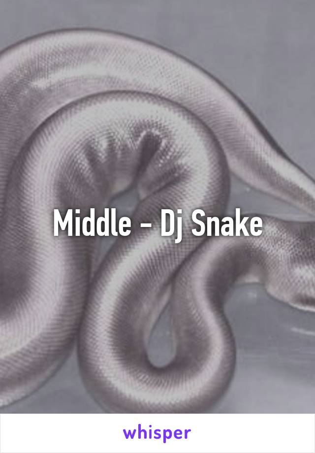 Middle - Dj Snake