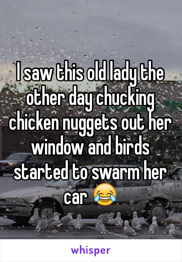 I saw this old lady the other day chucking chicken nuggets out her window and birds started to swarm her car 😂