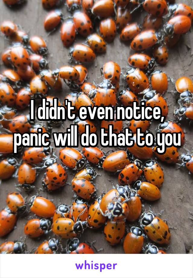 I didn't even notice, panic will do that to you 