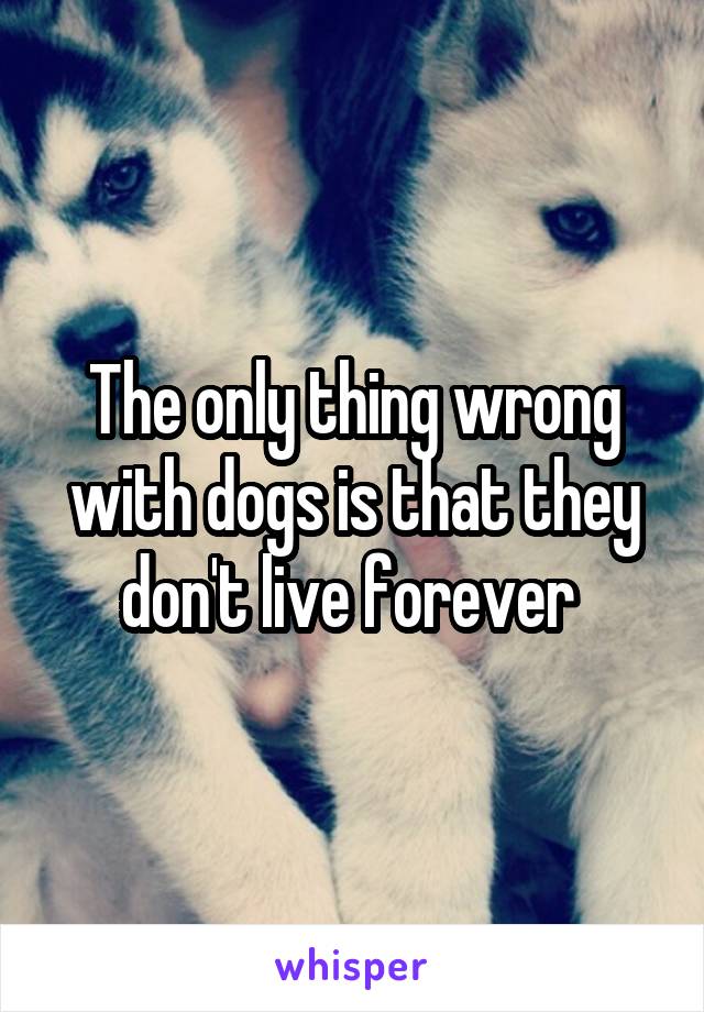 The only thing wrong with dogs is that they don't live forever 