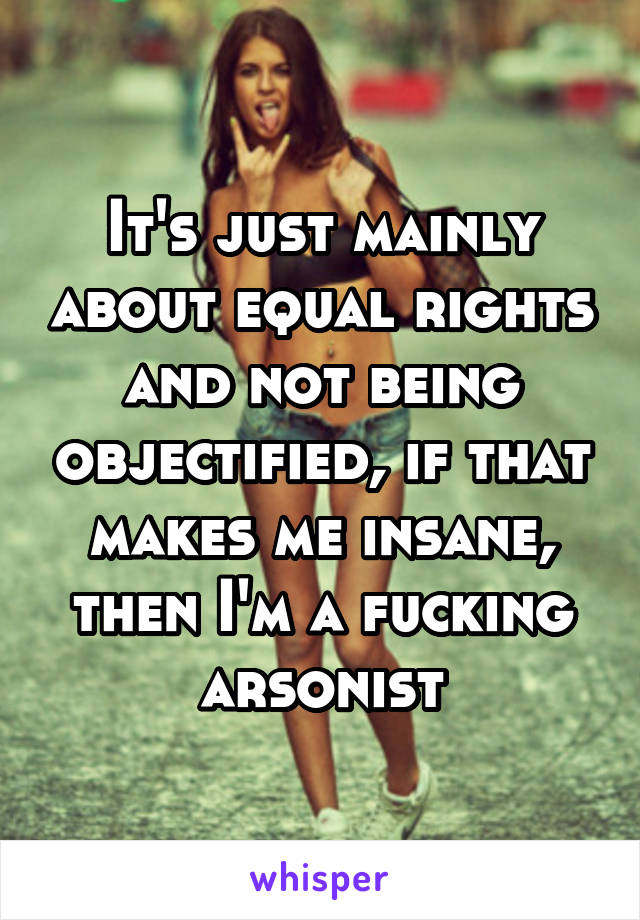 It's just mainly about equal rights and not being objectified, if that makes me insane, then I'm a fucking arsonist