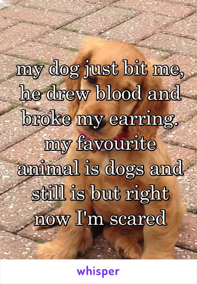 my dog just bit me, he drew blood and broke my earring. my favourite animal is dogs and still is but right now I'm scared