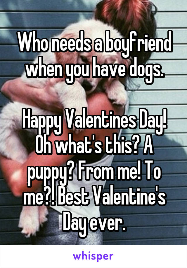 Who needs a boyfriend when you have dogs.

Happy Valentines Day! Oh what's this? A puppy? From me! To me?! Best Valentine's Day ever.