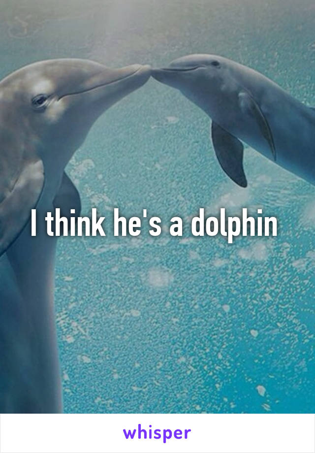 I think he's a dolphin 