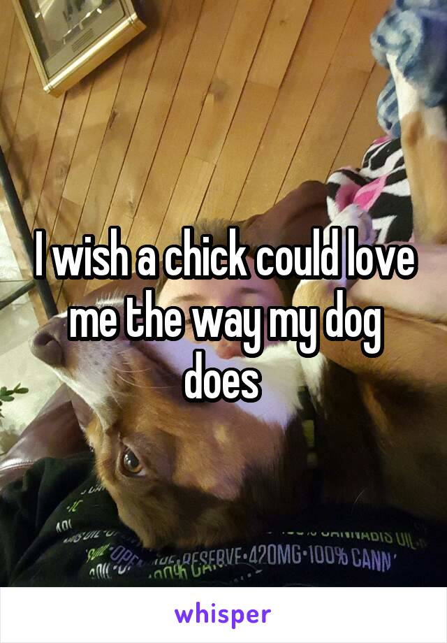 I wish a chick could love me the way my dog does 