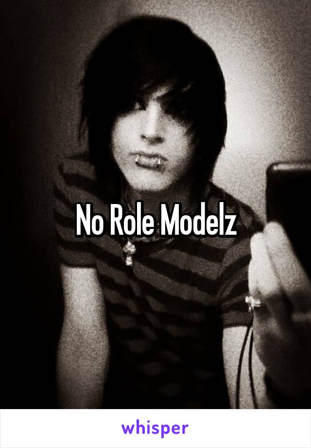 No Role Modelz