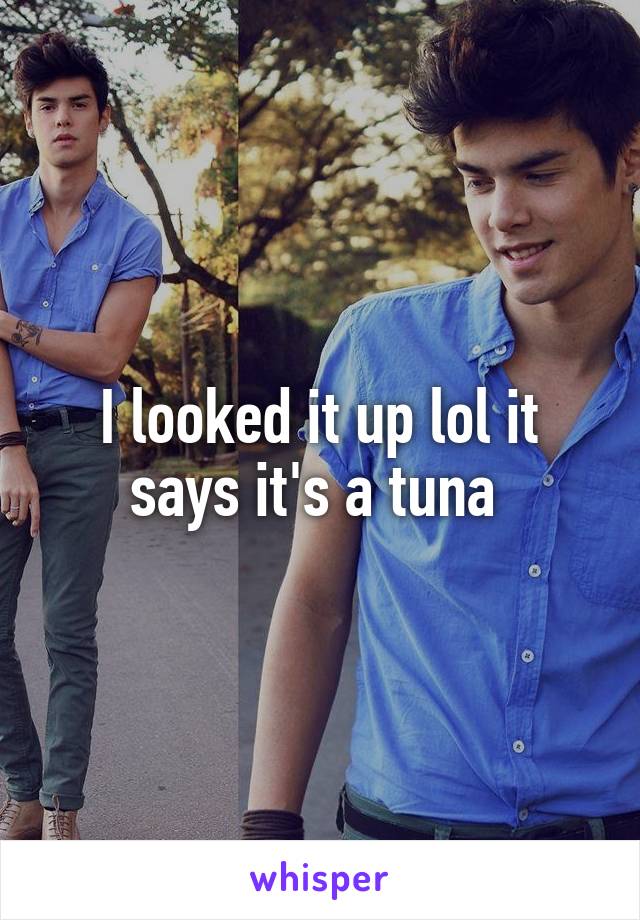 I looked it up lol it says it's a tuna 