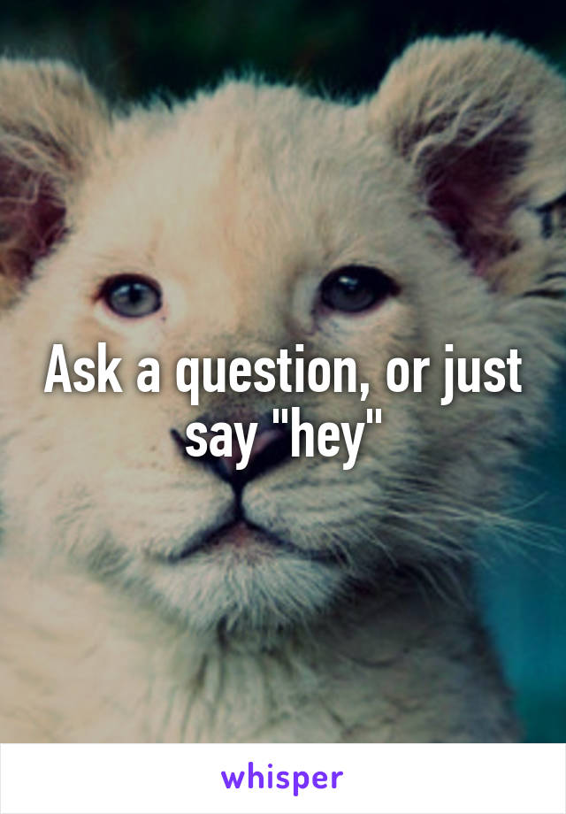Ask a question, or just say "hey"