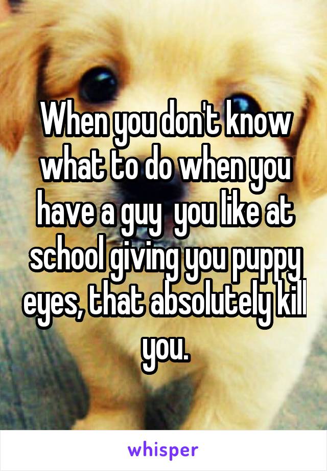 When you don't know what to do when you have a guy  you like at school giving you puppy eyes, that absolutely kill you.