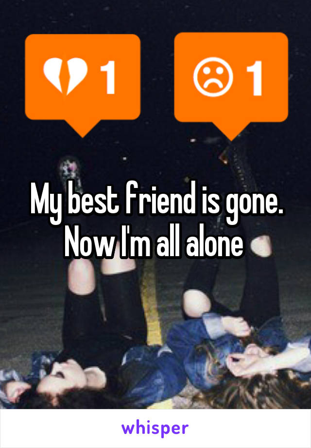 My best friend is gone. Now I'm all alone 