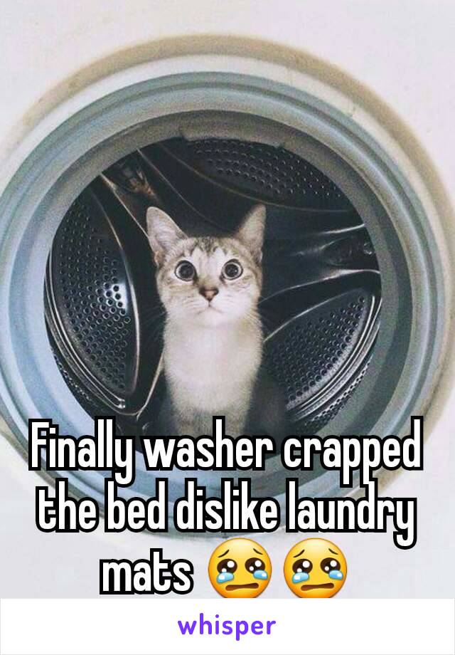 Finally washer crapped the bed dislike laundry mats 😢😢