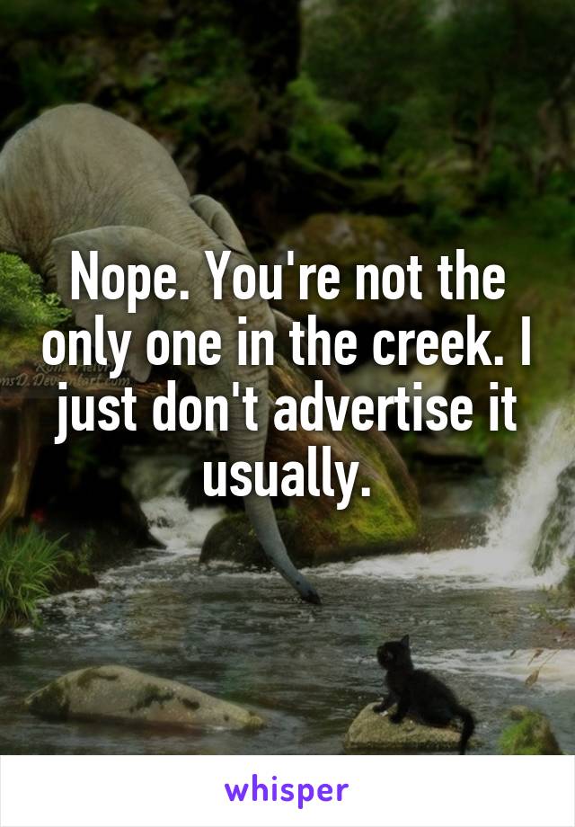 Nope. You're not the only one in the creek. I just don't advertise it usually.
