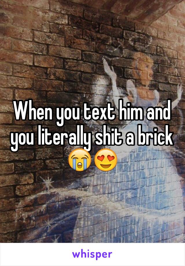 When you text him and you literally shit a brick 😭😍