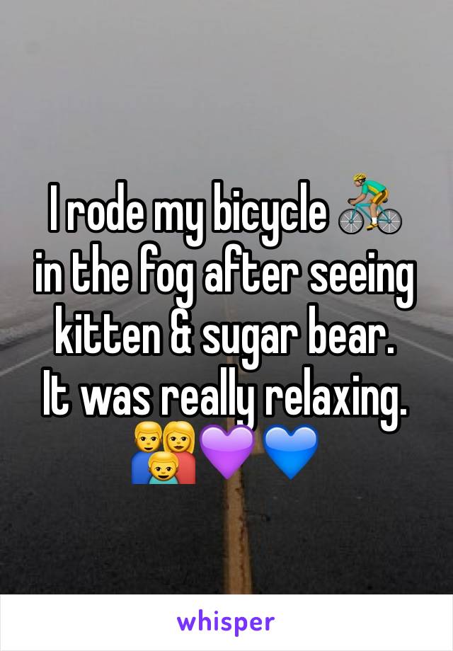 I rode my bicycle 🚴🏽
in the fog after seeing kitten & sugar bear.
It was really relaxing.
👪💜💙