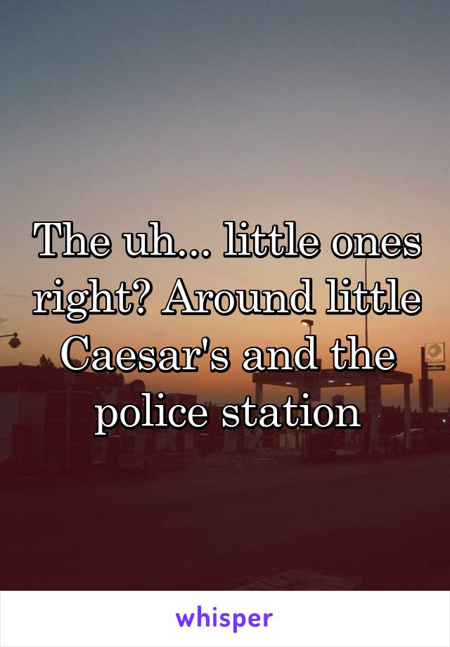 The uh... little ones right? Around little Caesar's and the police station