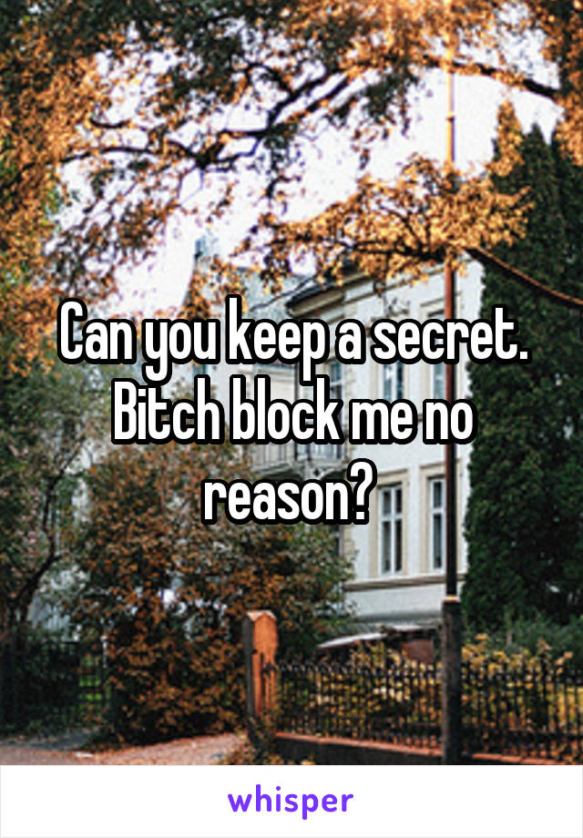 Can you keep a secret. Bitch block me no reason? 