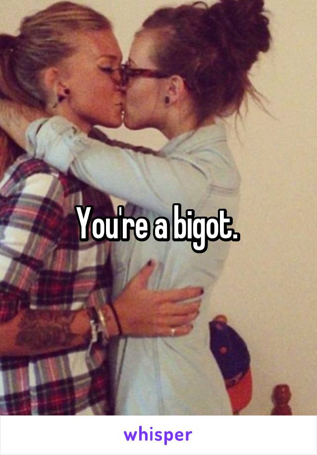 You're a bigot. 