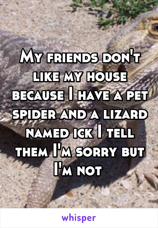 My friends don't like my house because I have a pet spider and a lizard named ick I tell them I'm sorry but I'm not 