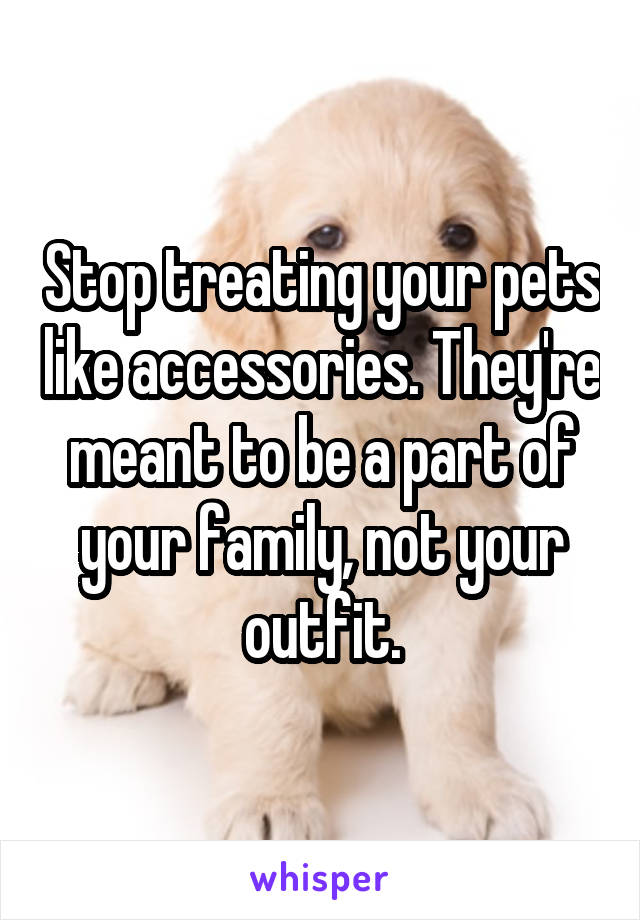 Stop treating your pets like accessories. They're meant to be a part of your family, not your outfit.